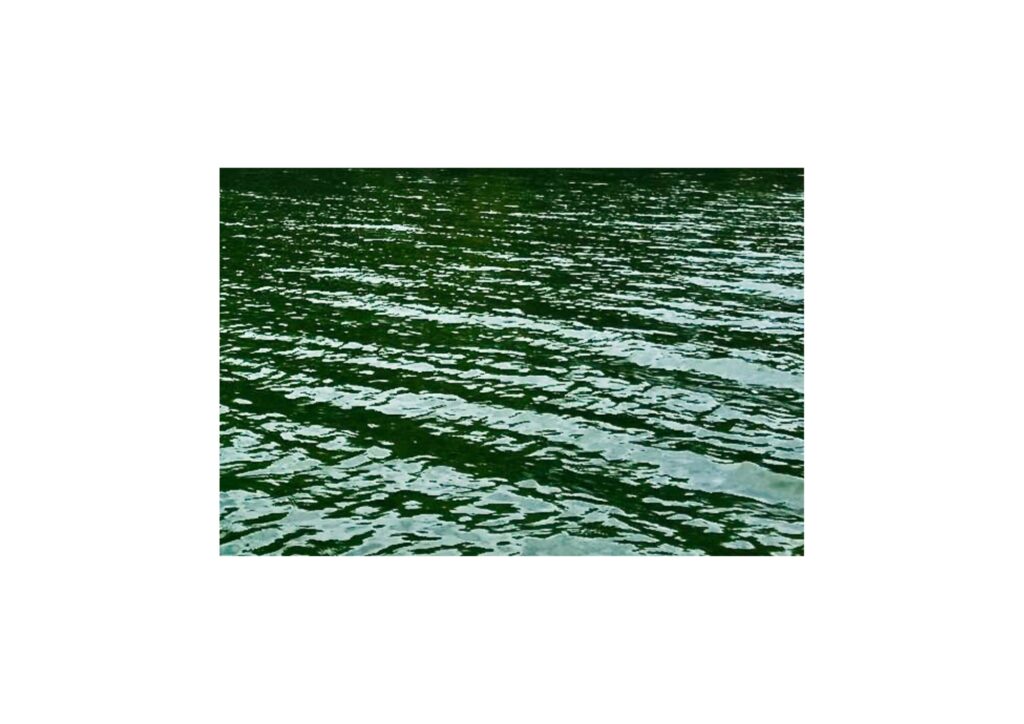 water shades of green, blue, backwaters, Varkala, kerala