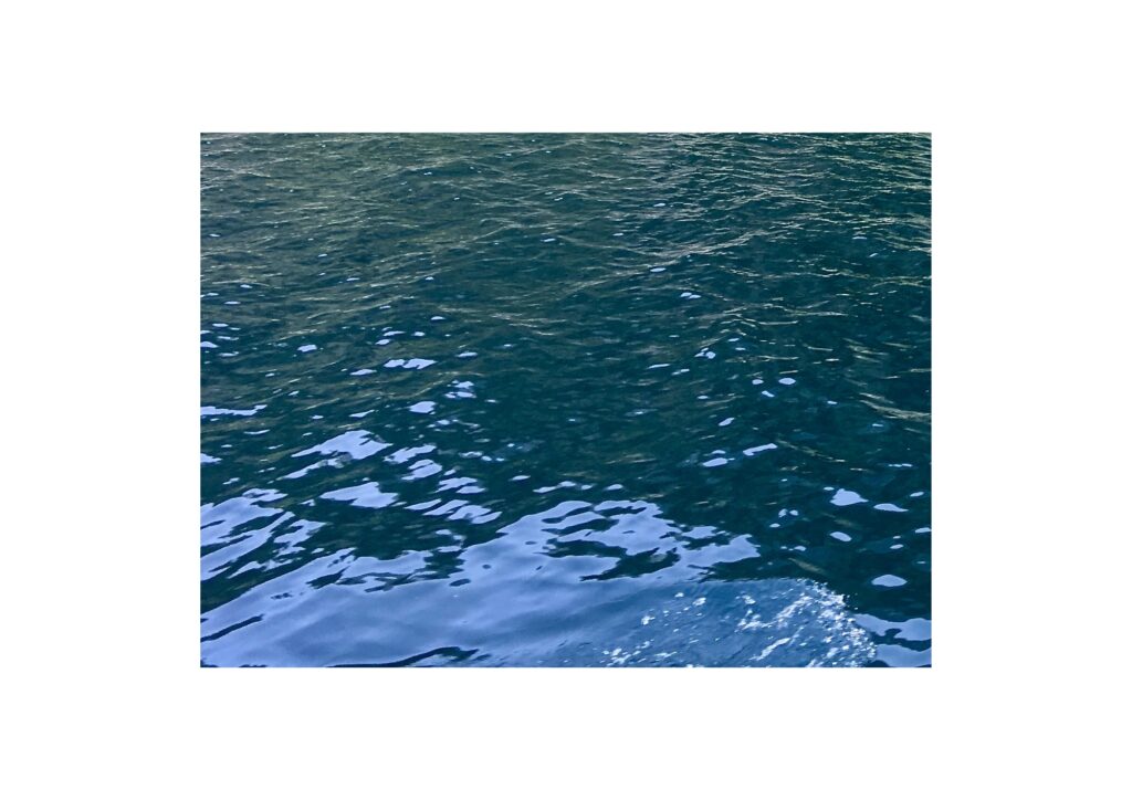 water-back waters, Kovalam, Kerala