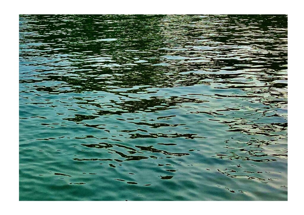 Water of Backwaters, Varkala, Kerala