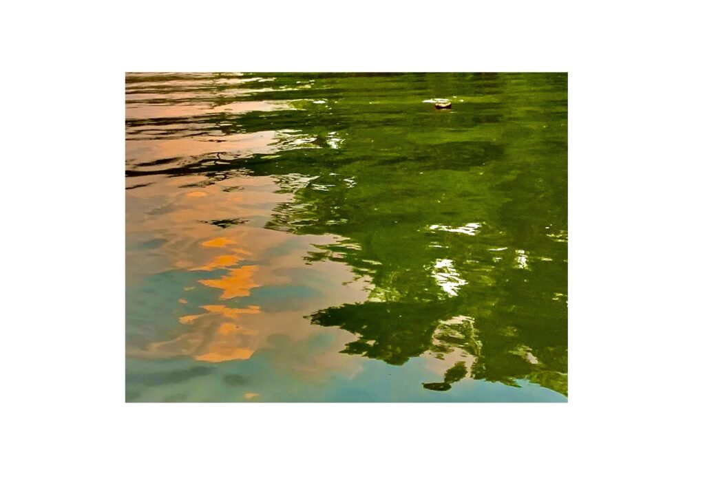 water-sun on phytoplankton, backwaters. Kovalam, Kerala