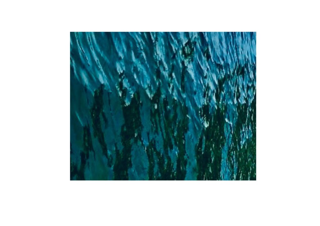 water-shades of blackwater, Varakala