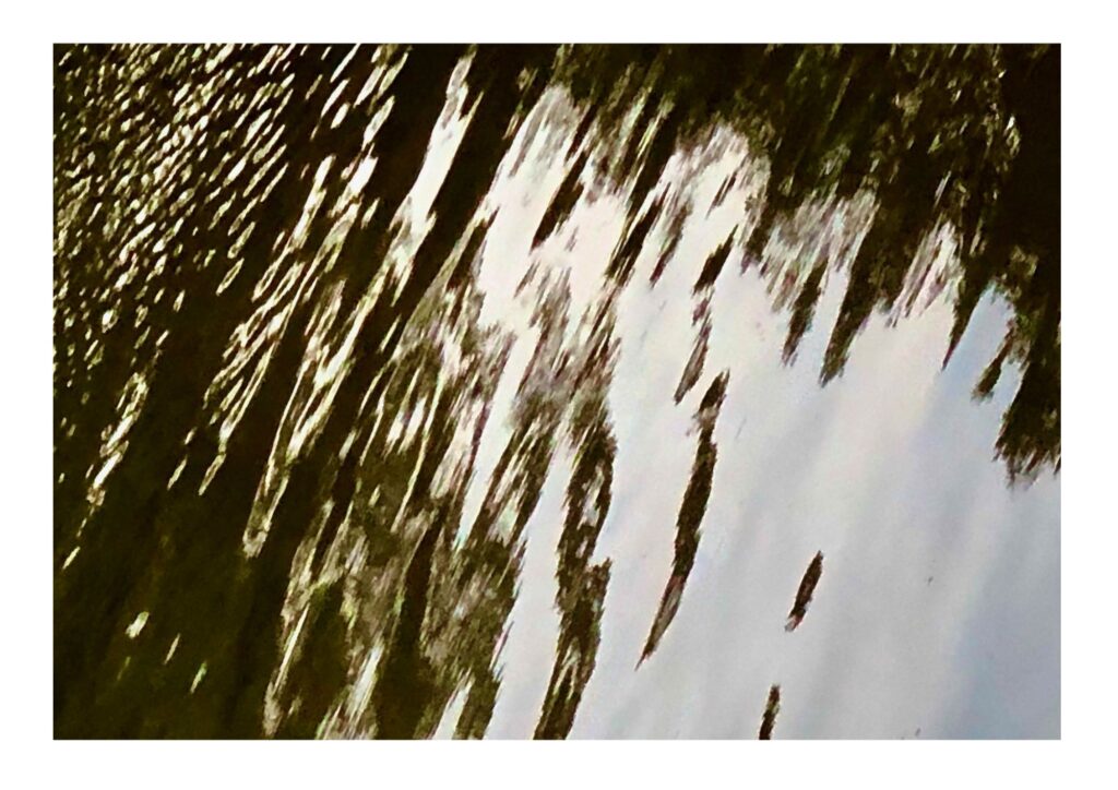 Water-Wards Lake, Shillong, Meghalaya