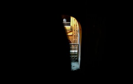 Leila's Journal-Half open door seeking light