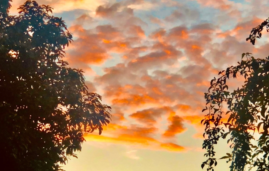 Image of orange clouds in the setting sky