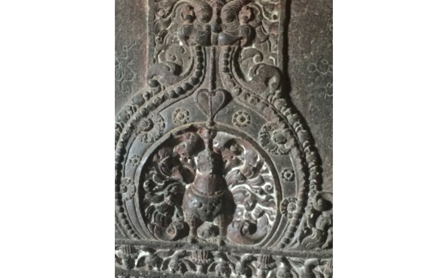Ellora Caves- stone carved peacock on walls of Kailasha Temple