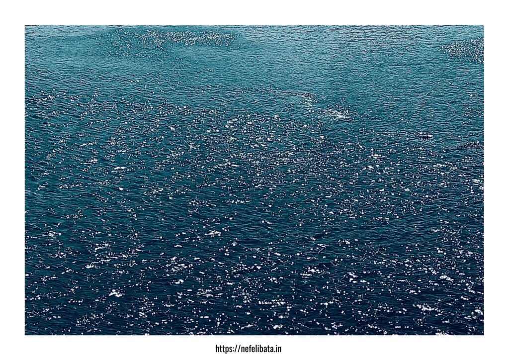 calender 2026-shape of water