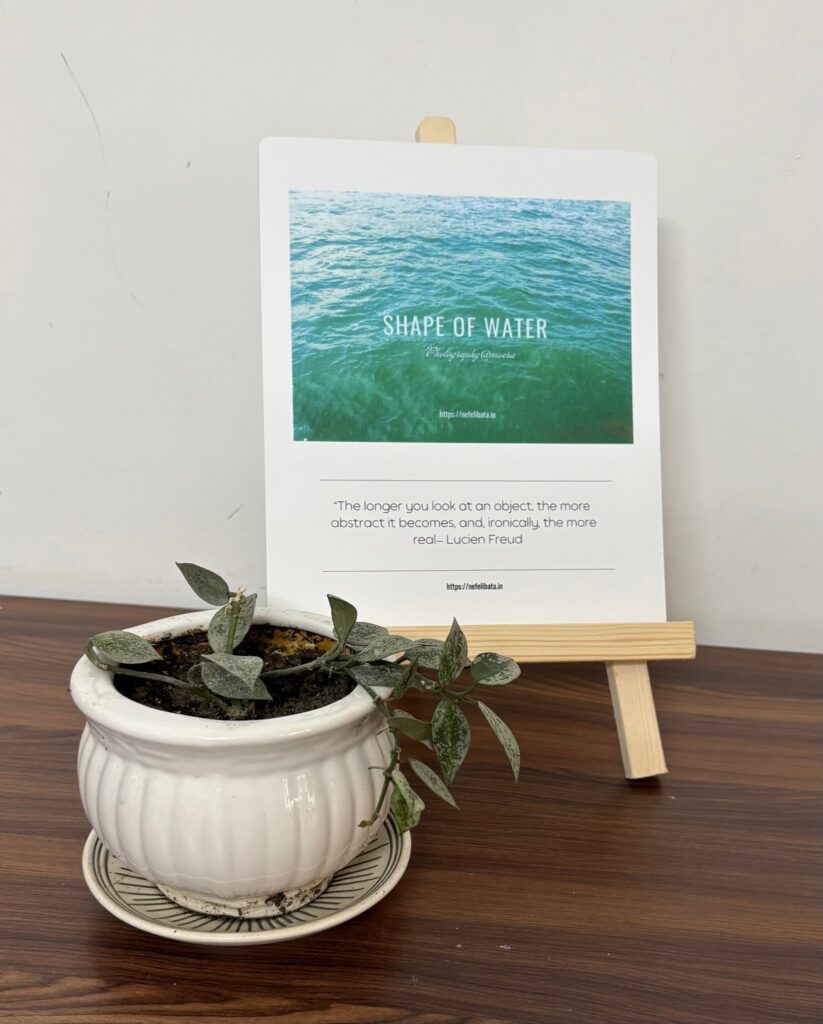 Calender 2026 Shape of Water