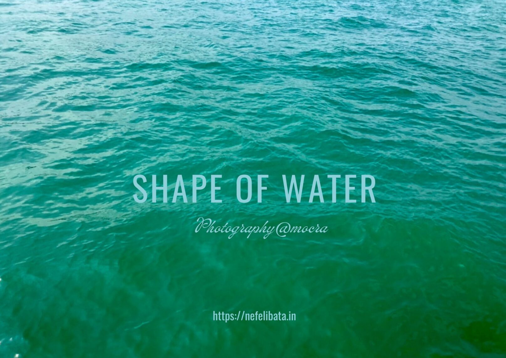 Calender 2026 Shape of Water 