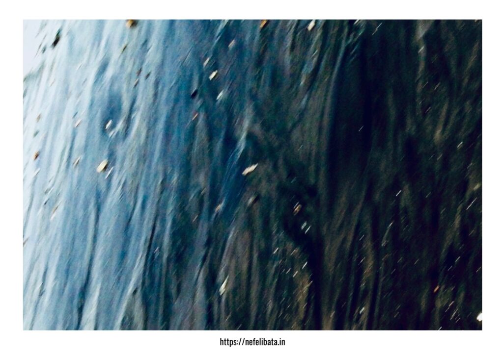 Calender 2026 Shaape of Water