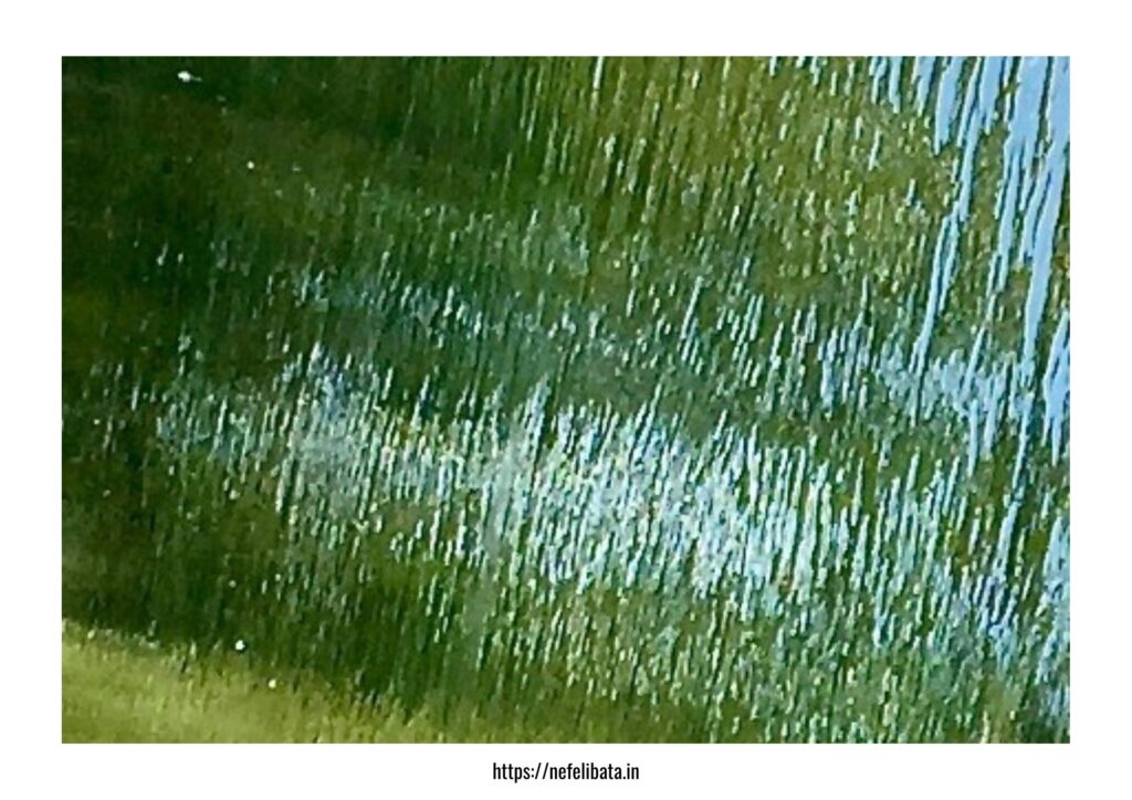 Calender 2026 shape of Water