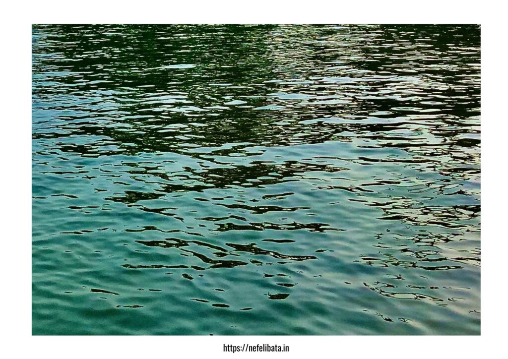 calender 2026-Shape of water