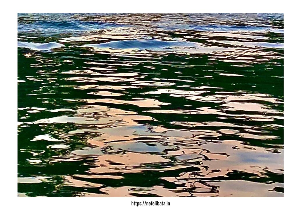 Calender 2026 Shape of Water