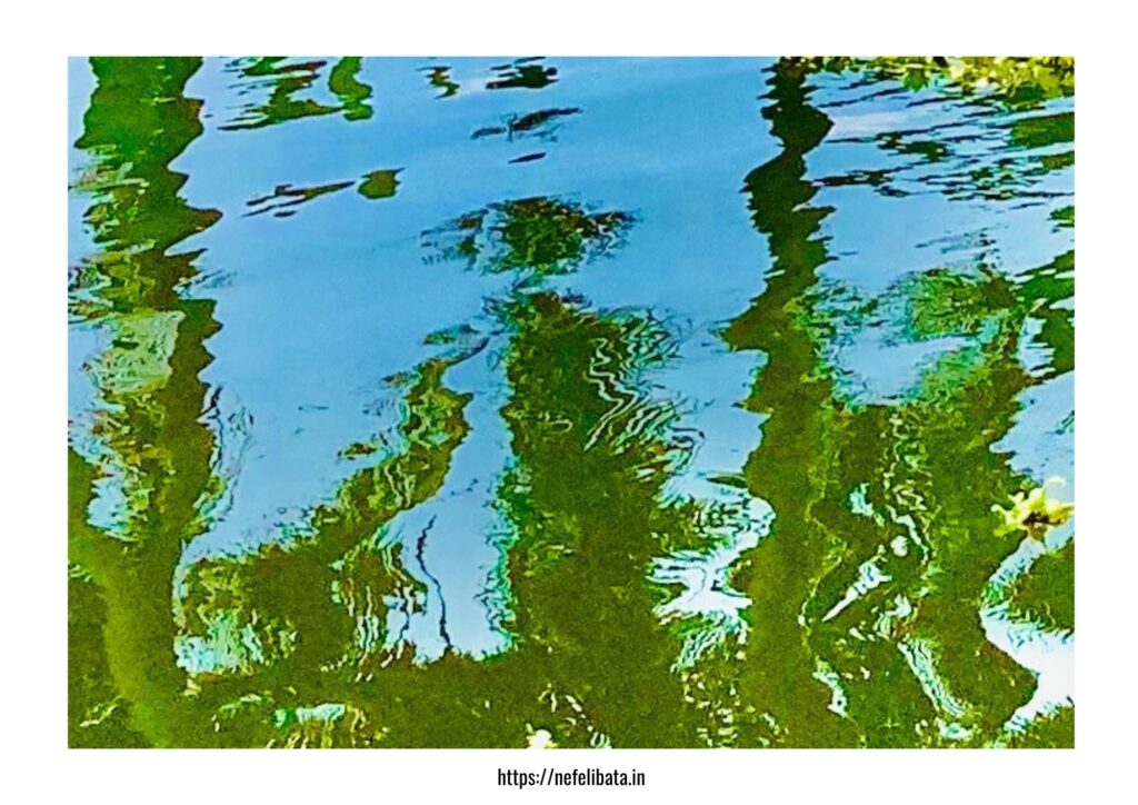 Calender 2026-Shape of water