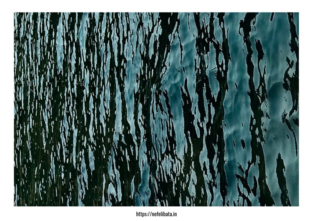 Calender 2026 Shape of Water