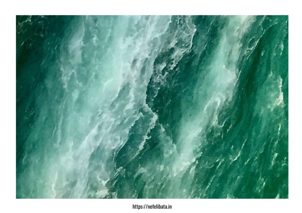 calender 2026-Shape of Water