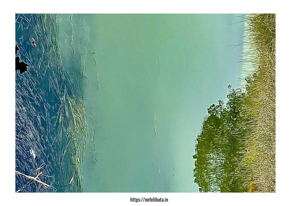 Calender 2026 Shape of Water